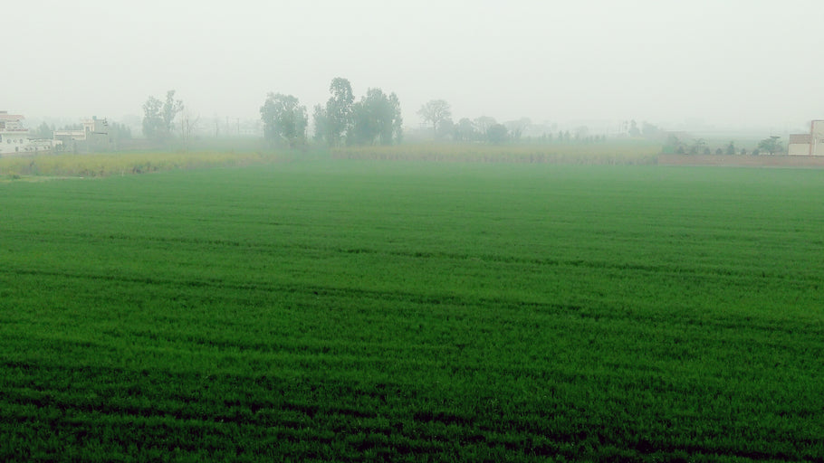 Punjab's Top 10 Places to Visit