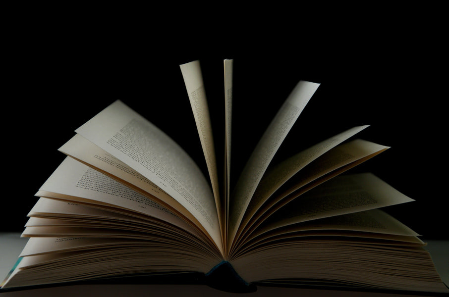 The Best 7 Books About Punjab’s History and Culture