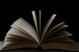The Best 7 Books About Punjab’s History and Culture