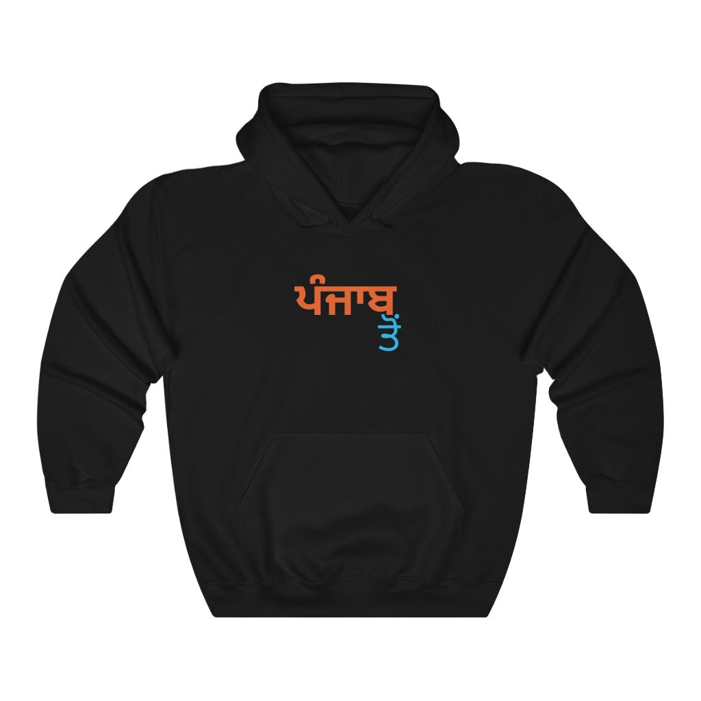 'From Punjab, In Punjabi' - Black / L - PB Zero