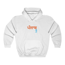 Load image into Gallery viewer, &#39;From Punjab, In Punjabi&#39; - White / S - PB Zero
