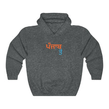 Load image into Gallery viewer, &#39;From Punjab, In Punjabi&#39; - Dark Heather / S - PB Zero
